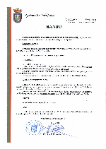 carteles-fiesta-2016